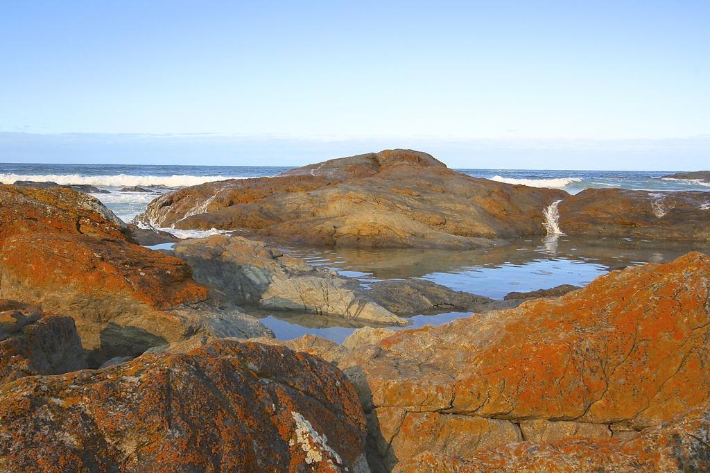 Saltwater - Absolute Oceanfront, Fire Pits, Some Villas With Hot Tubs And Sauna Falmouth Exterior photo